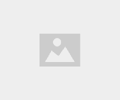 WordPress developer