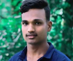Professional Web Developer