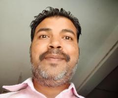 WordPress developer
