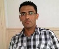 Content Writer