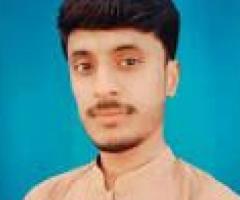 Wordpress Developer