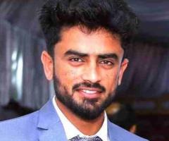 WordPress Developer