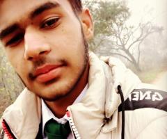 web developer